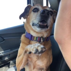 Meet your Posher, Veronica